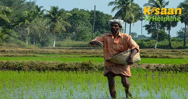 कृषि को लाभ का व्यवसाय बनाने के लिए विशेष बिन्दु, जानिए इनके बारे में कृषि को लाभ का व्यवसाय बनाने के लिए विशेष बिन्दु, जानिए इनके बारे में