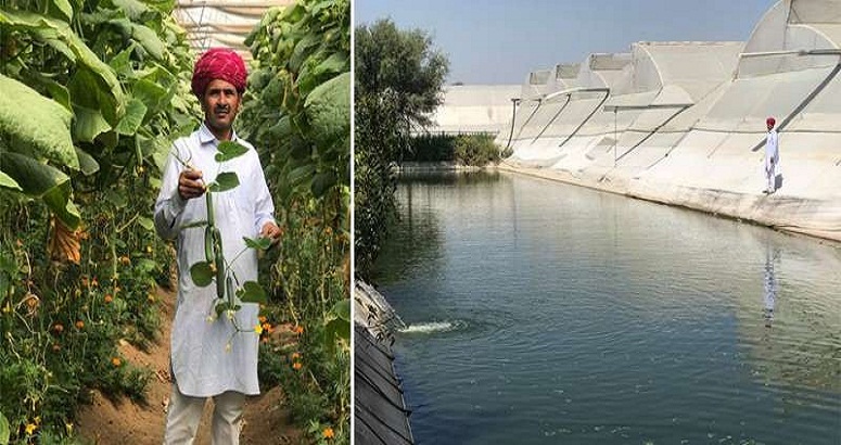राजस्थान के किसान ने अपने गांव को बना दिया मिनी इजरायल, सालाना कर रहे है अच्छी कमाई राजस्थान के किसान ने अपने गांव को बना दिया मिनी इजरायल, सालाना कर रहे है अच्छी कमाई