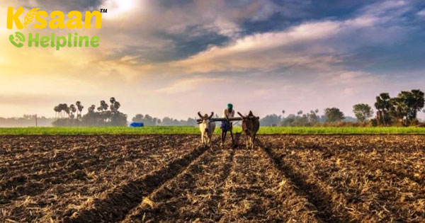 COVID-19 के कारण लघु और दीर्घकालिक कृषि पर प्रभाव COVID-19 के कारण लघु और दीर्घकालिक कृषि पर प्रभाव