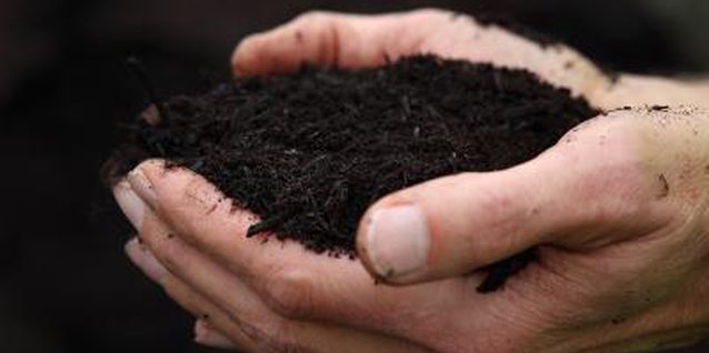 वर्मीकम्पोस्ट में केंचुए की अहम् भूमिका, क्यों सहायक है खेती में - दूसरा चरण वर्मीकम्पोस्ट में केंचुए की अहम् भूमिका, क्यों सहायक है खेती में - दूसरा चरण