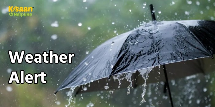 मौसम विभाग ने इन राज्यों में कही भीषण लू तो कहीं भारी बारिश का अलर्ट जारी किया, जानिए इस सप्ताह कैसा रहेगा मौसम मौसम विभाग ने इन राज्यों में कही भीषण लू तो कहीं भारी बारिश का अलर्ट जारी किया, जानिए इस सप्ताह कैसा रहेगा मौसम