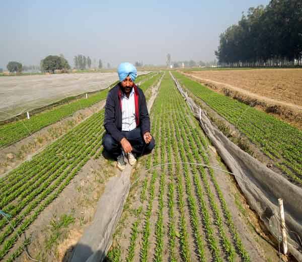 मास्टर डिग्रीधारी किसान का कमाल, खेती से कमा रहा 3 करोड़ रुपए सालाना मास्टर डिग्रीधारी किसान का कमाल, खेती से कमा रहा 3 करोड़ रुपए सालाना