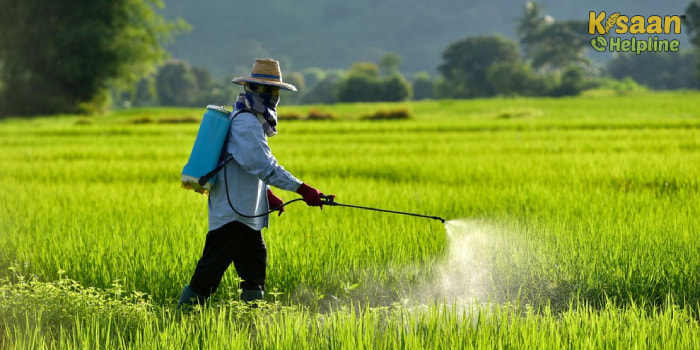 कृषि रसायनों के प्रयोग में बरती गई थोड़ी सी भी असावधानी दे सकती है बड़े नुकसान को आमंत्रण  कृषि रसायनों के प्रयोग में बरती गई थोड़ी सी भी असावधानी दे सकती है बड़े नुकसान को आमंत्रण