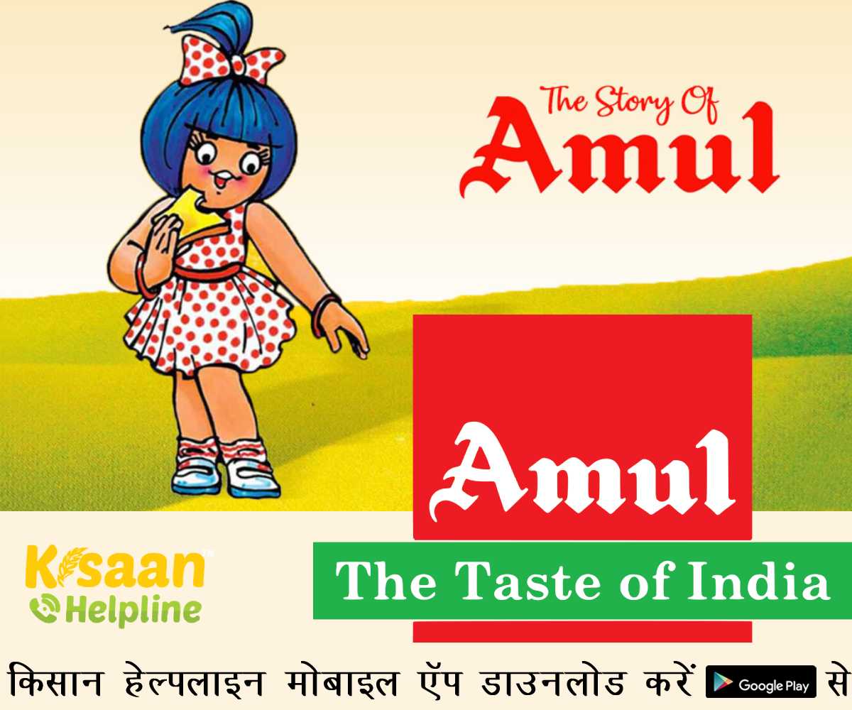 Success Story Of Amul: अमूल - भारत की दुग्ध सहकारी सफलता की कहानी Success Story Of Amul: अमूल - भारत की दुग्ध सहकारी सफलता की कहानी