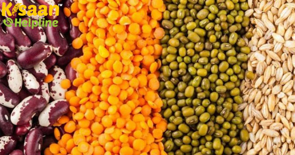 एफएसआईआई के कार्यकारी निदेशक लिखते हैं, डाइटरी जरूरतों को पारवर्ती फसलों की ओर ले जाने के लिए सुपर फूड्स को पहचानें एफएसआईआई के कार्यकारी निदेशक लिखते हैं, डाइटरी जरूरतों को पारवर्ती फसलों की ओर ले जाने के लिए सुपर फूड्स को पहचानें