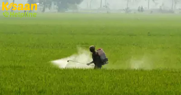 उत्तराखंड सरकार ने 27 कीटनाशकों पर प्रतिबंध लगाया उत्तराखंड सरकार ने 27 कीटनाशकों पर प्रतिबंध लगाया