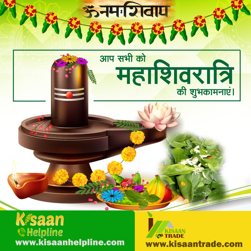 महाशिवरात्रि पावन पर्व की सभी मित्रों को हार्दिक शुभकामनाएं महाशिवरात्रि पावन पर्व की सभी मित्रों को हार्दिक शुभकामनाएं