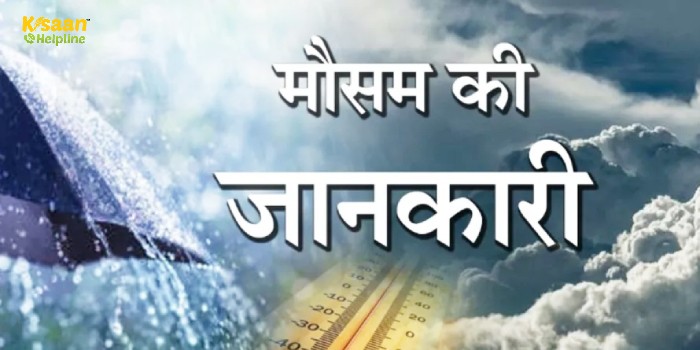 Weather Update: IMD ने इन राज्यों में बारिश को लेकर फिर जारी किया अलर्ट, जानिए मौसम का हाल Weather Update: IMD ने इन राज्यों में बारिश को लेकर फिर जारी किया अलर्ट, जानिए मौसम का हाल