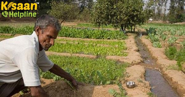 PM-KISAN: केंद्र ने असम, मेघालय, जम्मू-कश्मीर, लद्दाख को आधार सीडिंग से 1 साल की और छूट दी PM-KISAN: केंद्र ने असम, मेघालय, जम्मू-कश्मीर, लद्दाख को आधार सीडिंग से 1 साल की और छूट दी