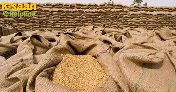 गेहूं की खरीद के आकड़ों को पछाड़ते हुए, इस बार हुयी गेहू की अच्छी पैदावार गेहूं की खरीद के आकड़ों को पछाड़ते हुए, इस बार हुयी गेहू की अच्छी पैदावार