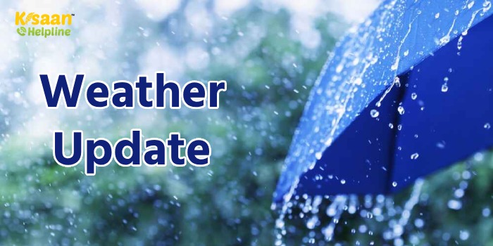 IMD Weather Update: मौसम विभाग की भविष्यवाणी, कई राज्यों में भारी बारिश की चेतावनी, जानें आज कैसा रहेगा मौसम का हाल IMD Weather Update: मौसम विभाग की भविष्यवाणी, कई राज्यों में भारी बारिश की चेतावनी, जानें आज कैसा रहेगा मौसम का हाल