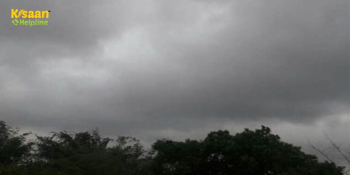 Weather Update:  मध्यप्रदेश समेत कई राज्यों में होगी भारी बारिश, मौसम विभाग ने जारी किया भारी बारिश का अलर्ट Weather Update:  मध्यप्रदेश समेत कई राज्यों में होगी भारी बारिश, मौसम विभाग ने जारी किया भारी बारिश का अलर्ट