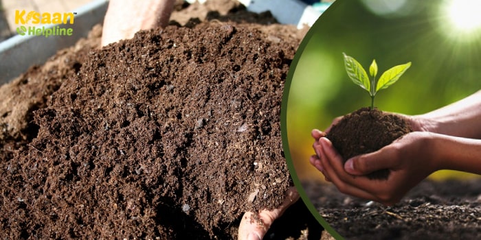 किसान भाई वेस्ट डीकंपोजर का उपयोग करके बढ़ा सकते है अपनी आय और उपज किसान भाई वेस्ट डीकंपोजर का उपयोग करके बढ़ा सकते है अपनी आय और उपज