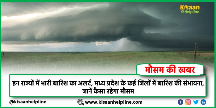 Weather Update: इन राज्यों में भारी बारिश का अलर्ट, मध्य प्रदेश के कई जिलों में बारिश की संभावना, जानें कैसा रहेगा मौसम Weather Update: इन राज्यों में भारी बारिश का अलर्ट, मध्य प्रदेश के कई जिलों में बारिश की संभावना, जानें कैसा रहेगा मौसम