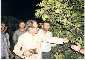 परंपरागत खेती में लाभ नहीं, किसान उद्यानिकी पर दें ध्यान- मुख्यमंत्री  परंपरागत खेती में लाभ नहीं, किसान उद्यानिकी पर दें ध्यान- मुख्यमंत्री