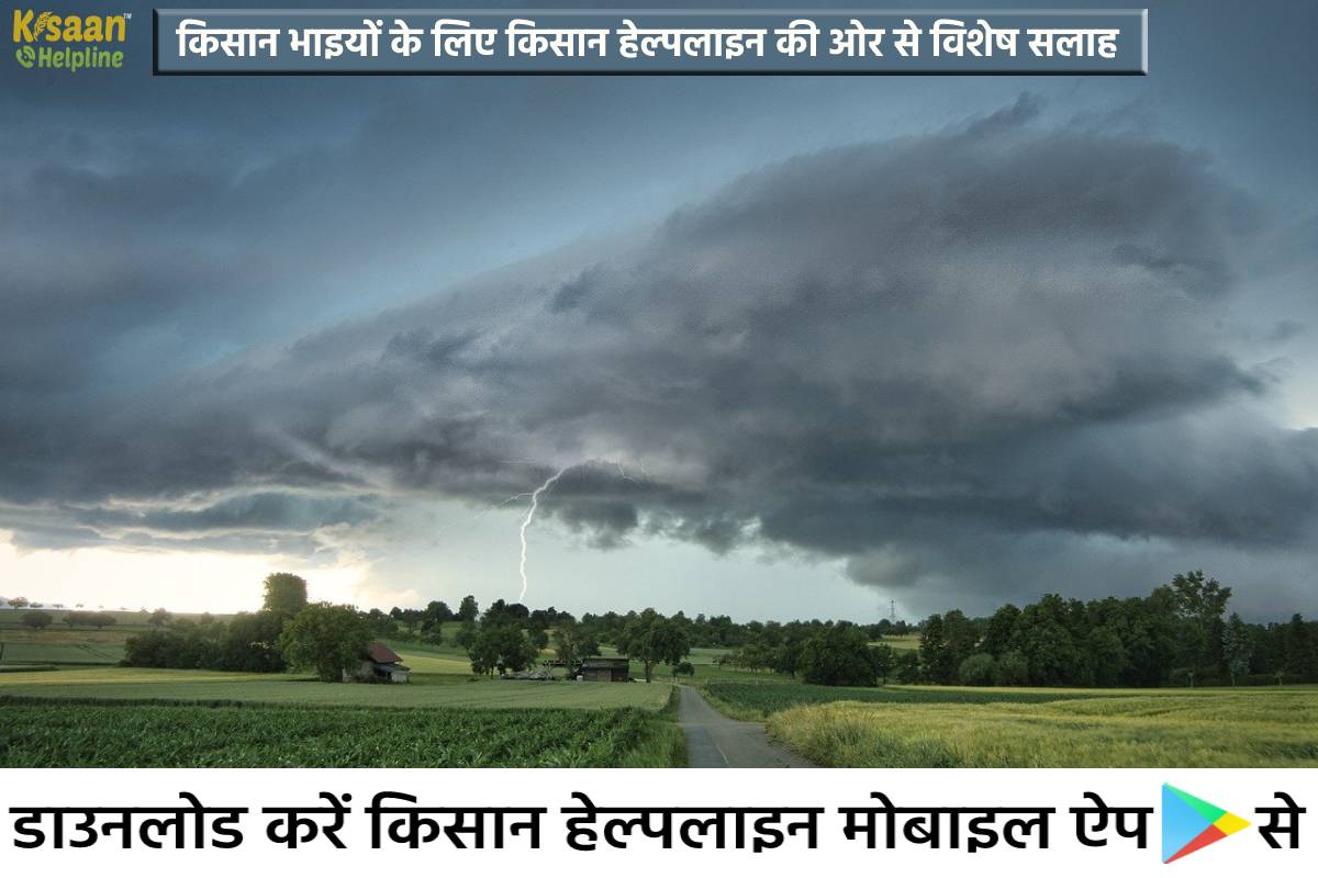 किसान भाइयों  के लिए किसान हेल्पलाइन की ओर से विशेष सलाह