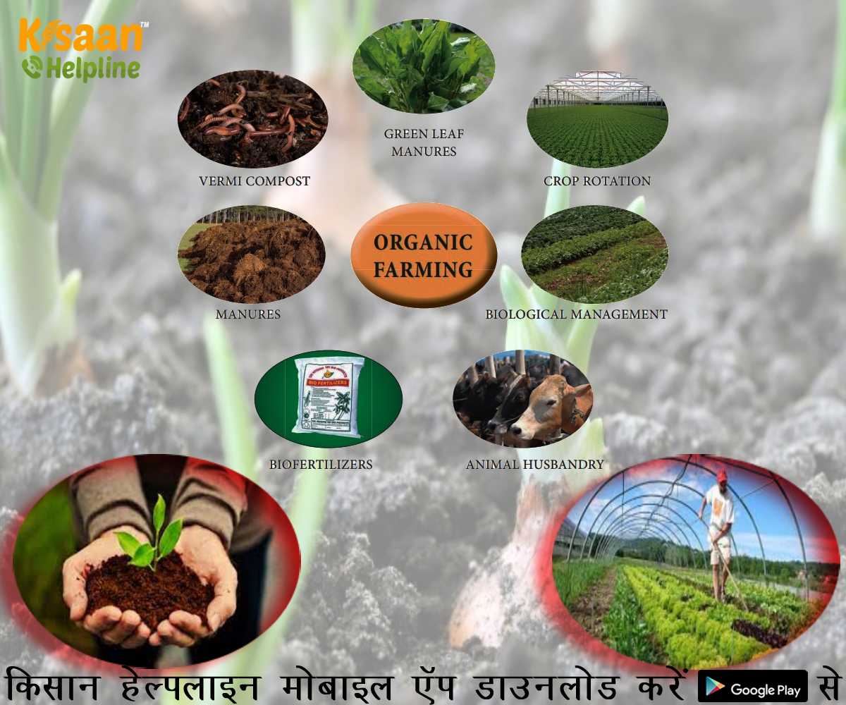 मध्यप्रदेश, उत्तराखंड और राजस्थान के अधिक किसानों द्वारा अपनाई गई जैविक खेती मध्यप्रदेश, उत्तराखंड और राजस्थान के अधिक किसानों द्वारा अपनाई गई जैविक खेती