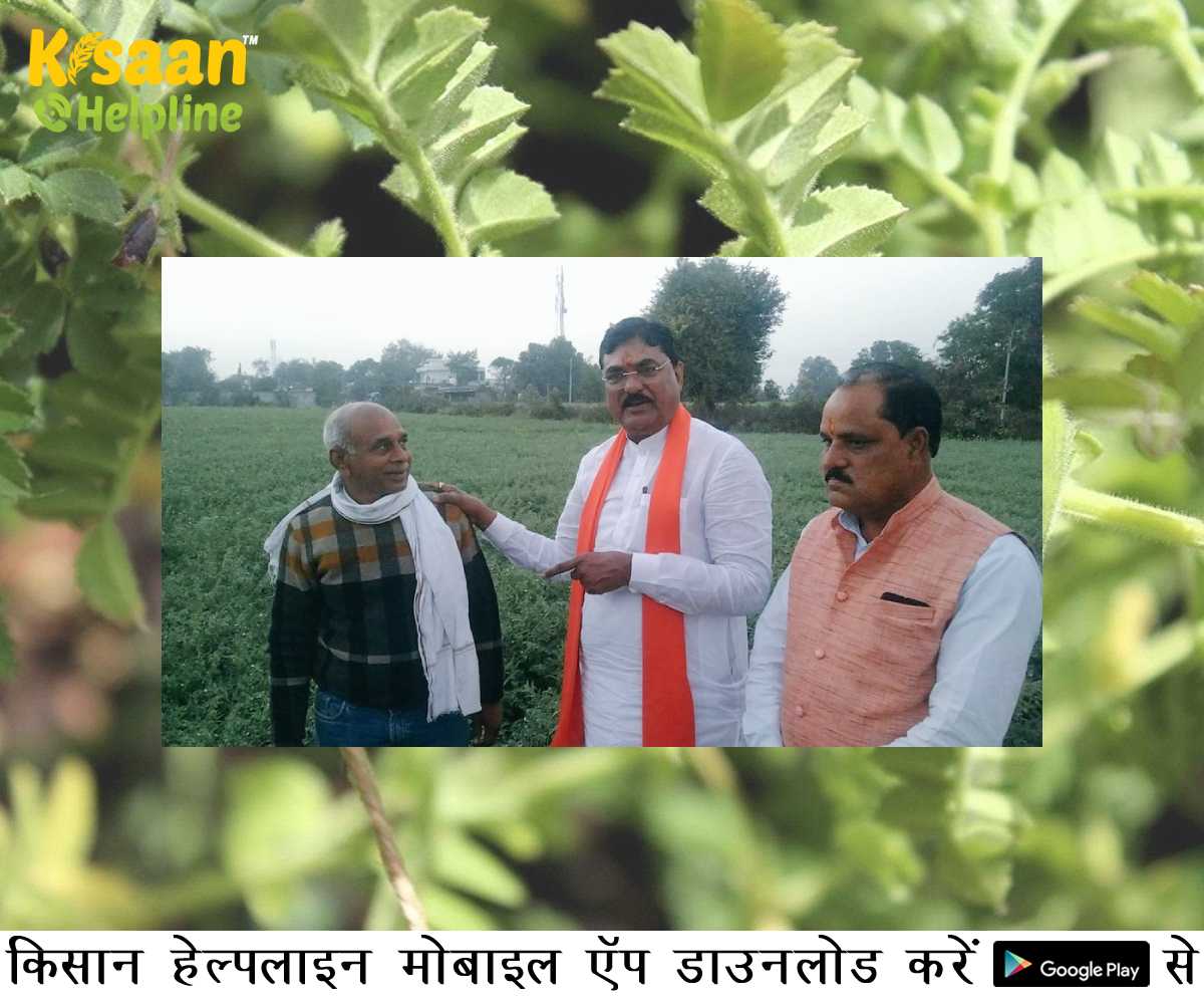 किसान ने गेहूं को छोड़कर की चने की खेती, कृषि मंत्री कमल पटेल तारीफ करने खेत में पहुंचे किसान ने गेहूं को छोड़कर की चने की खेती, कृषि मंत्री कमल पटेल तारीफ करने खेत में पहुंचे