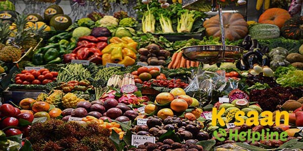 शाक वाटिका में सब्जी उगाने की विधि, सीजन, समय, और बीजों की जानकारी शाक वाटिका में सब्जी उगाने की विधि, सीजन, समय, और बीजों की जानकारी