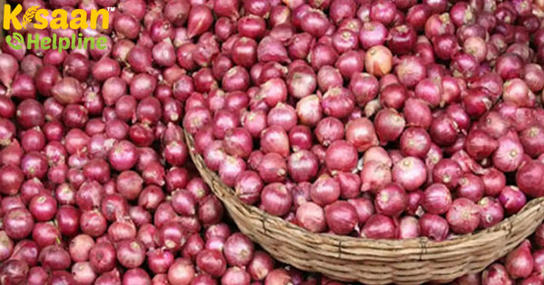 सरकार ने 35,857 टन आयातित प्याज का निपटान पूरा किया सरकार ने 35,857 टन आयातित प्याज का निपटान पूरा किया