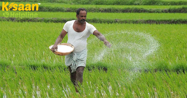 खरीफ फसलों का न्यूनतम समर्थन मूल्य बढ़ाने के लिए कृषि मूल्य पैनल खरीफ फसलों का न्यूनतम समर्थन मूल्य बढ़ाने के लिए कृषि मूल्य पैनल