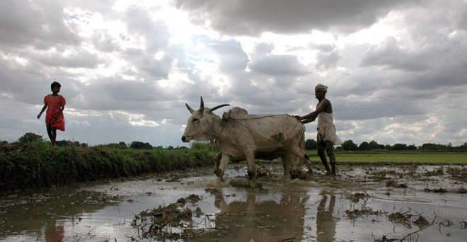 इस महीने अन्न उत्पादक राज्यों पर छा जाएगा मानसून, मौसम विभाग की ताज़ा जानकारी, बुवाई के लिए सही समय इस महीने अन्न उत्पादक राज्यों पर छा जाएगा मानसून, मौसम विभाग की ताज़ा जानकारी, बुवाई के लिए सही समय