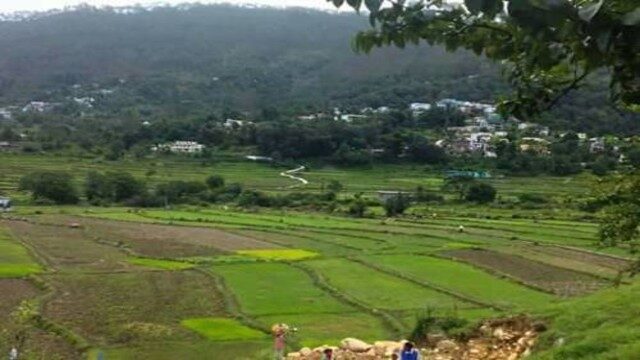 उन्नत खेती के लिए नवंबर माह में कृषि और बागवानी के ये काम जरूर करे उन्नत खेती के लिए नवंबर माह में कृषि और बागवानी के ये काम जरूर करे