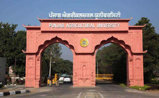 पंजाब एग्रीकल्चर यूनिवर्सिटी में लगेगा फूलों का मेला, दर्जनभर किस्में दिखाई जाएंगी पंजाब एग्रीकल्चर यूनिवर्सिटी में लगेगा फूलों का मेला, दर्जनभर किस्में दिखाई जाएंगी