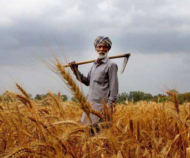 राष्ट्रीय कृषि नीति की मांग: राष्ट्रीय हाईवे की तर्ज पर राष्ट्रीय सिंचाई राजमार्ग दूसरी हरित क्रांति को जन्म दे सकता है राष्ट्रीय कृषि नीति की मांग: राष्ट्रीय हाईवे की तर्ज पर राष्ट्रीय सिंचाई राजमार्ग दूसरी हरित क्रांति को जन्म दे सकता है