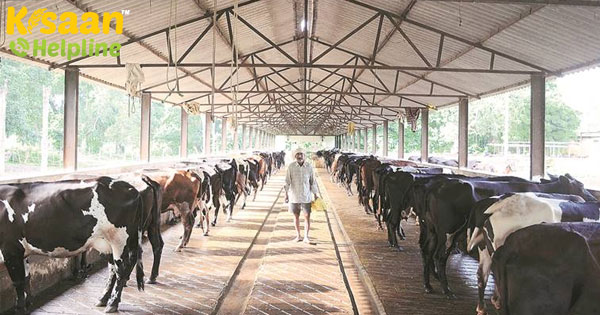 डेयरी किसानों को इस सरकारी योजना के माध्यम से 30% सब्सिडी के साथ 90% ऋण मिल रहा है, 30 जून तक करें आवेदन डेयरी किसानों को इस सरकारी योजना के माध्यम से 30% सब्सिडी के साथ 90% ऋण मिल रहा है, 30 जून तक करें आवेदन