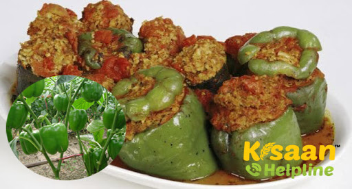 कैंसर जैसी बड़ी बीमारी की रोकथाम में सहायक है ये सब्जी, पढ़े और शेयर करे कैंसर जैसी बड़ी बीमारी की रोकथाम में सहायक है ये सब्जी, पढ़े और शेयर करे