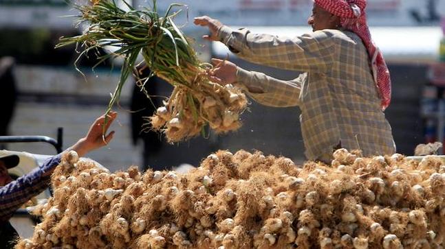 लहसुन की खेती के आधुनिक तरीके को अपनाएं और अच्छी उपज पाए