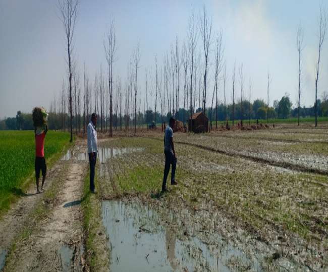 200 से अधिक हाथों के लिए नियमित काम, तीन गुना लाभ प्राप्त होगा 200 से अधिक हाथों के लिए नियमित काम, तीन गुना लाभ प्राप्त होगा