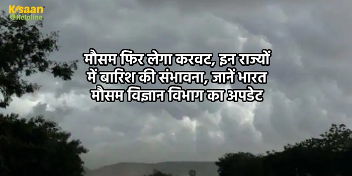 मौसम फिर लेगा करवट, इन राज्यों में बारिश की संभावना, जानें भारत मौसम विज्ञान विभाग का अपडेट मौसम फिर लेगा करवट, इन राज्यों में बारिश की संभावना, जानें भारत मौसम विज्ञान विभाग का अपडेट