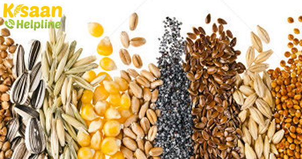 रिथू भरोसा योजना: किसानों को 15 मई को बीज खरीदने के लिए 5500 रुपये वित्तीय सहायता मिलेगी रिथू भरोसा योजना: किसानों को 15 मई को बीज खरीदने के लिए 5500 रुपये वित्तीय सहायता मिलेगी