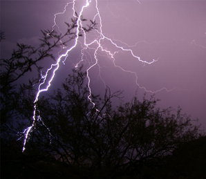 मध्य प्रदेश के लिए सुकूनभरी खबर, 15 जून तक भोपाल पहुंचेगा मानसून मध्य प्रदेश के लिए सुकूनभरी खबर, 15 जून तक भोपाल पहुंचेगा मानसून