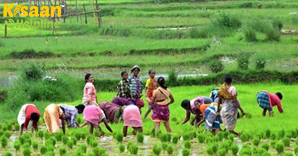 कॉन्ट्रैक्ट फार्मिंग के लिए एक नया कानूनी ढांचा पेश करना - केंद्र कॉन्ट्रैक्ट फार्मिंग के लिए एक नया कानूनी ढांचा पेश करना - केंद्र
