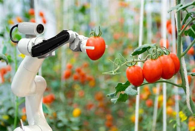 किसानो की मदद करने वाला रोबोट किया विकसित किसानो की मदद करने वाला रोबोट किया विकसित