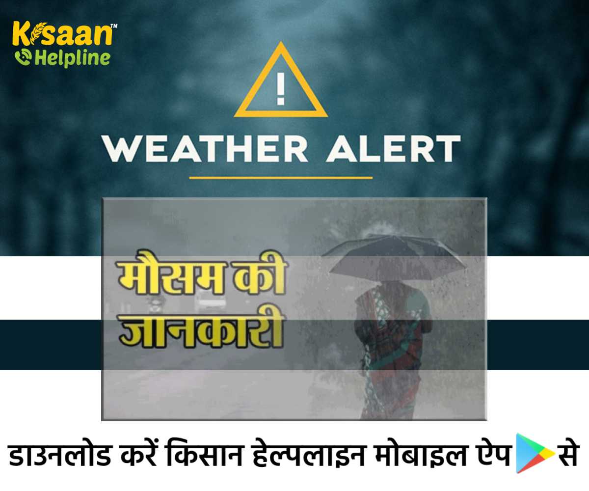 Weather Alert: मौसम को लेकर ICAR ने जारी की एडवाइजरी, जानिए मौसम आधारित फसल सलाह Weather Alert: मौसम को लेकर ICAR ने जारी की एडवाइजरी, जानिए मौसम आधारित फसल सलाह