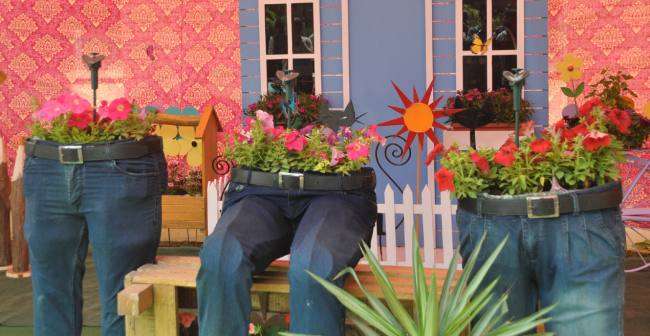 फूलों की खूबसूरती निहार-निहाल हुए लुधियानवी, पंजाब कृषि विश्वविद्यालय में फूलों की खूबसूरती निहार-निहाल हुए लुधियानवी, पंजाब कृषि विश्वविद्यालय में