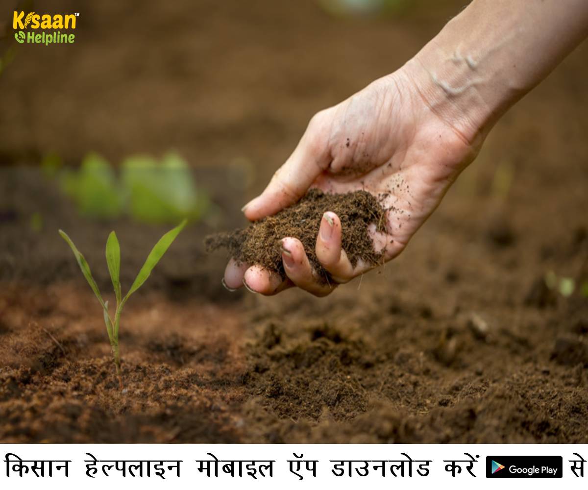 Soil Fertility: जानिए मिट्टी की उर्वरता शक्ति कैसे बढ़ाए