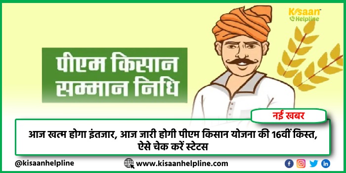 PM Kisan 16th Installment 2024: आज खत्म होगा इंतजार, आज जारी होगी पीएम किसान योजना की 16वीं किस्त, ऐसे चेक करें स्टेटस PM Kisan 16th Installment 2024: आज खत्म होगा इंतजार, आज जारी होगी पीएम किसान योजना की 16वीं किस्त, ऐसे चेक करें स्टेटस