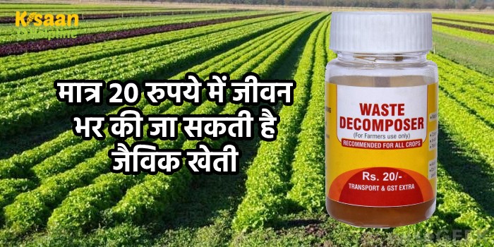 मात्र 20 रुपये में जीवन भर की जा सकती है जैविक खेती