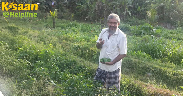 मिलिए अवार्ड-विनिंग फार्मर इलियास से जिनके 10 एकड़ के खेत का पुन: उपयोग कर खेती करना उचित समझा मिलिए अवार्ड-विनिंग फार्मर इलियास से जिनके 10 एकड़ के खेत का पुन: उपयोग कर खेती करना उचित समझा