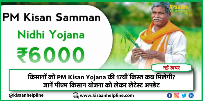 किसानों को PM Kisan Yojana की 17वीं किस्त कब मिलेगी? जानें पीएम किसान योजना को लेकर लेटेस्ट अपडेट किसानों को PM Kisan Yojana की 17वीं किस्त कब मिलेगी? जानें पीएम किसान योजना को लेकर लेटेस्ट अपडेट