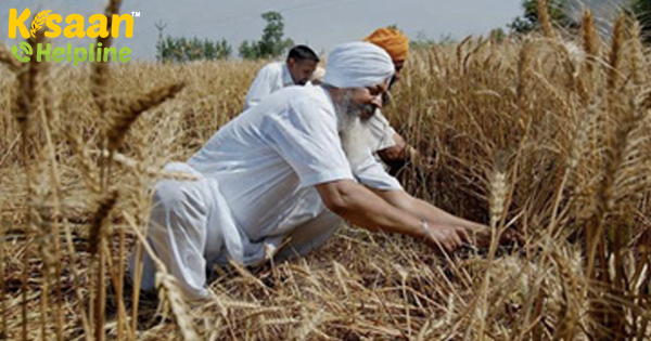 कृषि क्षेत्र को मजबूत करने के लिए मंडलों में विपणन, कोल्ड स्टोरेज के लिए 4,000 करोड़ रुपये चिह्नित कृषि क्षेत्र को मजबूत करने के लिए मंडलों में विपणन, कोल्ड स्टोरेज के लिए 4,000 करोड़ रुपये चिह्नित