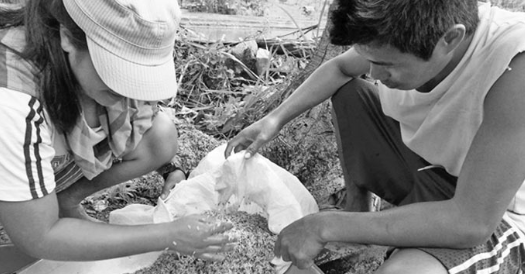 राइजोबियम कल्चर से बीज उपचार कैसे करे?