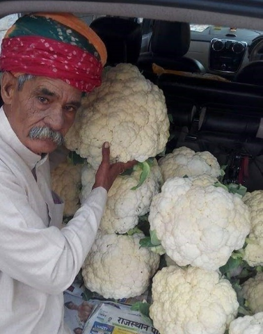 "पद्मश्री" सम्मान मिलेगा ग्यारह किलो की गोभी उगाने वाले किसान को "पद्मश्री" सम्मान मिलेगा ग्यारह किलो की गोभी उगाने वाले किसान को