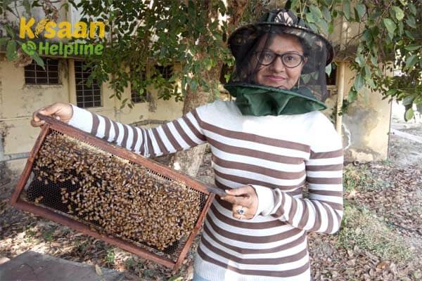 मध्यप्रदेश के अठाना गांव की महिला किसान मीनाक्षी धाकड़ बनी दूसरों के लिए प्रेरणा मध्यप्रदेश के अठाना गांव की महिला किसान मीनाक्षी धाकड़ बनी दूसरों के लिए प्रेरणा