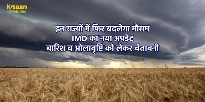 इन राज्यों में फिर बदलेगा मौसम, IMD का नया अपडेट, बारिश व ओलावृष्टि को लेकर चेतावनी इन राज्यों में फिर बदलेगा मौसम, IMD का नया अपडेट, बारिश व ओलावृष्टि को लेकर चेतावनी
